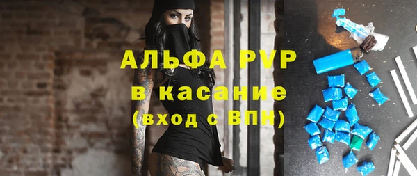 тгк Бородино