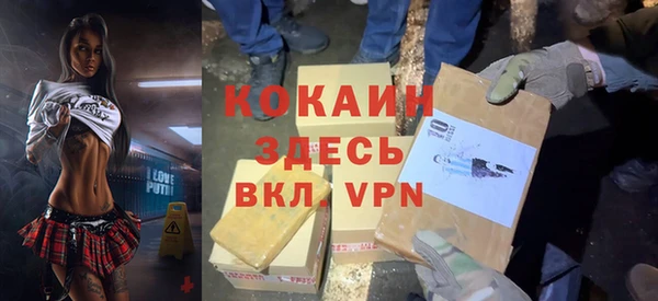 тгк Бородино