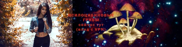 mdpv Бугульма