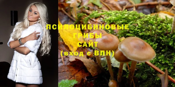 mdpv Бугульма
