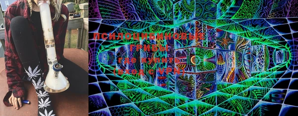 амф Бронницы