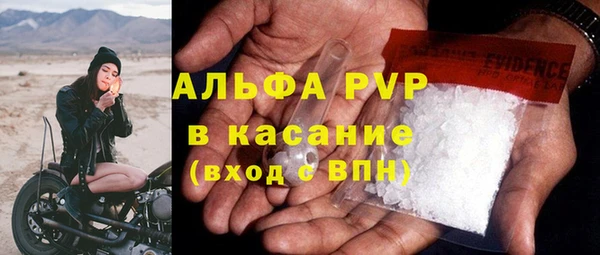 тгк Бородино