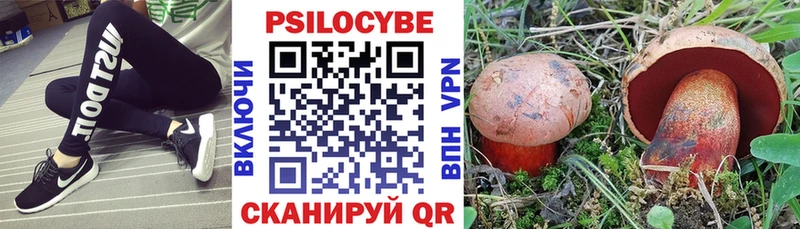 купить закладку  Верхний Тагил  Псилоцибиновые грибы ЛСД 